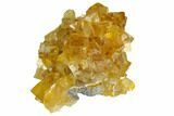 Lustrous Yellow Calcite Crystal Cluster - Fluorescent! #125324-1